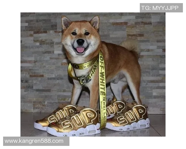 足球明星们的球鞋选择揭秘从场上风采到场下时尚的完美结合